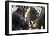 Iraqi Detainee Receives a Bandage While under Interrogation, March 24, 2003-null-Framed Photo