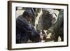 Iraqi Detainee Receives a Bandage While under Interrogation, March 24, 2003-null-Framed Photo