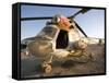 Iraqi Helicopter Sits on the Flight Deck Abandoned at Camp Warhorse-Stocktrek Images-Framed Stretched Canvas
