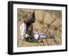 Iraqi Prisoner of War Confort His 4-Year-Old Son at a Regroupment Center for POWs Near Najaf-null-Framed Photographic Print