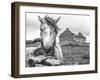 Ireland Black and White-Arabella Studios-Framed Giclee Print