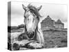 Ireland Black and White-Arabella Studios-Stretched Canvas