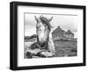 Ireland Black and White-Arabella Studios-Framed Premium Giclee Print