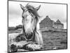 Ireland Black and White-Arabella Studios-Mounted Premium Giclee Print