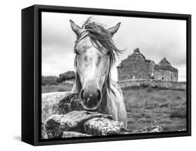 Ireland Black and White-Arabella Studios-Framed Stretched Canvas