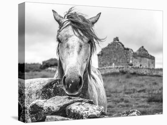 Ireland Black and White-Arabella Studios-Stretched Canvas