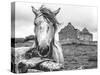 Ireland Black and White-Arabella Studios-Stretched Canvas