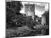 Ireland, Blarney. View of Blarney Castle-Dennis Flaherty-Mounted Photographic Print