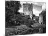 Ireland, Blarney. View of Blarney Castle-Dennis Flaherty-Mounted Photographic Print