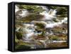 Ireland, Brook in the Wicklow Mountains, Brown Moor Water-K. Schlierbach-Framed Stretched Canvas