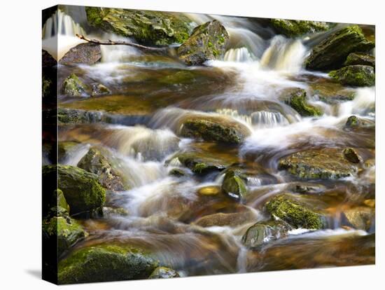 Ireland, Brook in the Wicklow Mountains, Brown Moor Water-K. Schlierbach-Stretched Canvas