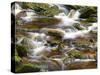 Ireland, Brook in the Wicklow Mountains, Brown Moor Water-K. Schlierbach-Stretched Canvas