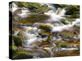 Ireland, Brook in the Wicklow Mountains, Brown Moor Water-K. Schlierbach-Stretched Canvas