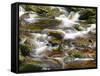 Ireland, Brook in the Wicklow Mountains, Brown Moor Water-K. Schlierbach-Framed Stretched Canvas