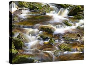 Ireland, Brook in the Wicklow Mountains, Brown Moor Water-K. Schlierbach-Stretched Canvas