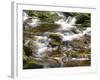 Ireland, Brook in the Wicklow Mountains, Brown Moor Water-K. Schlierbach-Framed Photographic Print