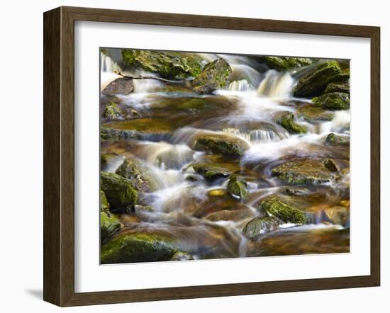 Ireland, Brook in the Wicklow Mountains, Brown Moor Water-K. Schlierbach-Framed Photographic Print