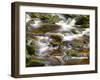 Ireland, Brook in the Wicklow Mountains, Brown Moor Water-K. Schlierbach-Framed Photographic Print
