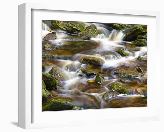 Ireland, Brook in the Wicklow Mountains, Brown Moor Water-K. Schlierbach-Framed Photographic Print