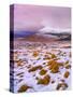 Ireland, Co.Donegal, Derryveagh mountains, Muckish in snow-Shaun Egan-Stretched Canvas