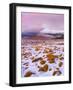 Ireland, Co.Donegal, Derryveagh mountains, Muckish in snow-Shaun Egan-Framed Photographic Print