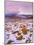 Ireland, Co.Donegal, Derryveagh mountains, Muckish in snow-Shaun Egan-Mounted Photographic Print