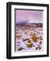 Ireland, Co.Donegal, Derryveagh mountains, Muckish in snow-Shaun Egan-Framed Photographic Print