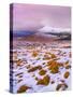 Ireland, Co.Donegal, Derryveagh mountains, Muckish in snow-Shaun Egan-Stretched Canvas