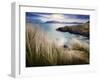 Ireland, Co.Donegal, Fanad, Ballymastoker bay and seagrass-Shaun Egan-Framed Photographic Print