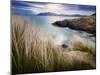 Ireland, Co.Donegal, Fanad, Ballymastoker bay and seagrass-Shaun Egan-Mounted Photographic Print