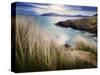 Ireland, Co.Donegal, Fanad, Ballymastoker bay and seagrass-Shaun Egan-Stretched Canvas