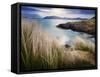 Ireland, Co.Donegal, Fanad, Ballymastoker bay and seagrass-Shaun Egan-Framed Stretched Canvas