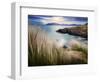 Ireland, Co.Donegal, Fanad, Ballymastoker bay and seagrass-Shaun Egan-Framed Photographic Print