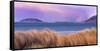 Ireland, Co.Donegal, Fanad, Ballymastoker bay at dusk-Shaun Egan-Framed Stretched Canvas