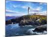 Ireland, Co.Donegal, Fanad, Fanad lighthouse at dusk-Shaun Egan-Mounted Photographic Print