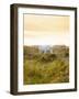 Ireland, Co.Donegal, Fanad, Horse in field-Shaun Egan-Framed Photographic Print