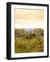 Ireland, Co.Donegal, Fanad, Horse in field-Shaun Egan-Framed Photographic Print