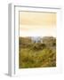 Ireland, Co.Donegal, Fanad, Horse in field-Shaun Egan-Framed Photographic Print