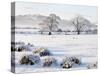 Ireland, Co.Donegal, Milford, snow covered landscape-Shaun Egan-Stretched Canvas