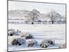 Ireland, Co.Donegal, Milford, snow covered landscape-Shaun Egan-Mounted Photographic Print