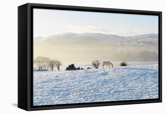 Ireland, Co.Donegal, Milford, snow covered landscape-Shaun Egan-Framed Stretched Canvas