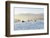 Ireland, Co.Donegal, Milford, snow covered landscape-Shaun Egan-Framed Photographic Print