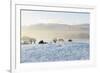 Ireland, Co.Donegal, Milford, snow covered landscape-Shaun Egan-Framed Photographic Print