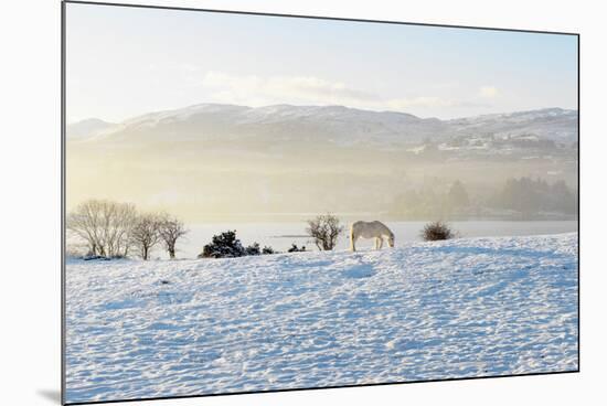 Ireland, Co.Donegal, Milford, snow covered landscape-Shaun Egan-Mounted Photographic Print