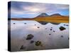 Ireland, Co.Donegal, Mount Errigal  reflected in lake-Shaun Egan-Stretched Canvas