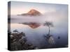 Ireland, Co.Donegal, Mount Errigal reflected in Lough Dunlewey-Shaun Egan-Stretched Canvas