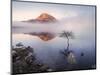 Ireland, Co.Donegal, Mount Errigal reflected in Lough Dunlewey-Shaun Egan-Mounted Photographic Print