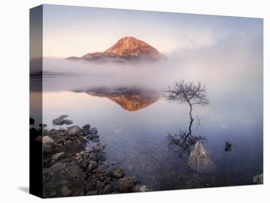 Ireland, Co.Donegal, Mount Errigal reflected in Lough Dunlewey-Shaun Egan-Stretched Canvas