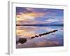 Ireland, Co.Donegal, Mulroy bay, Stepping stones at dusk-Shaun Egan-Framed Photographic Print