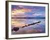 Ireland, Co.Donegal, Mulroy bay, Stepping stones at dusk-Shaun Egan-Framed Photographic Print